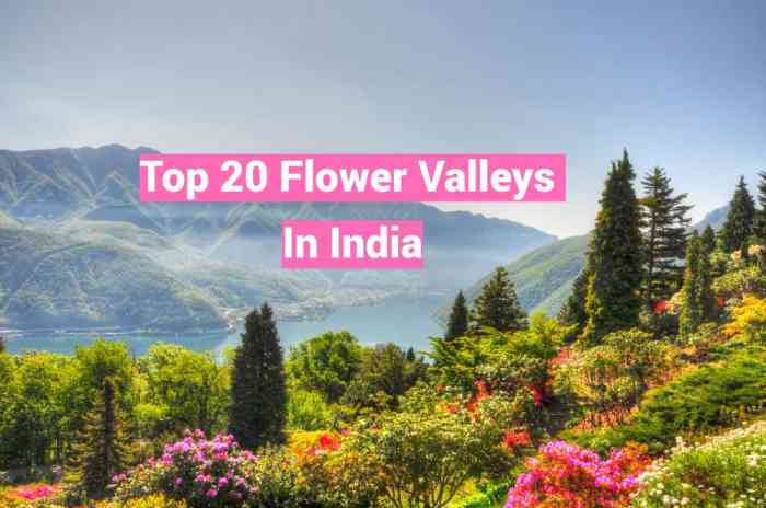 Flower Valleys In India